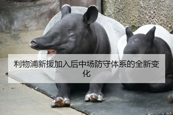 利物浦新援加入后中场防守体系的全新变化