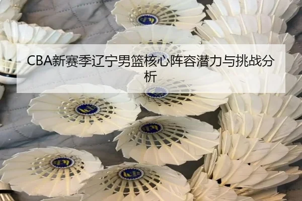 xin-sai-ji-liao-ning-nan-lan-he-xin-zhen-rong-qian-li-yu-tiao-zhan-fen-xi-2-496.jpg